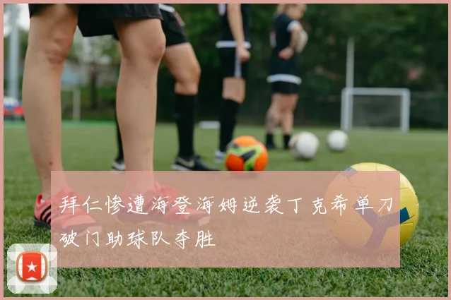 拜仁惨遭海登海姆逆袭丁克希单刀破门助球队夺胜