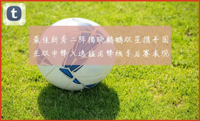 最佳新秀二阵揭晓鹈鹕双星携手国王双中锋入选猛龙锋线季后赛表现抢眼