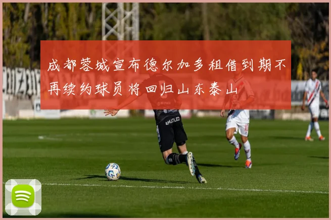 成都蓉城宣布德尔加多租借到期不再续约球员将回归山东泰山